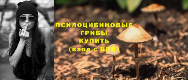 гидропоника Верея